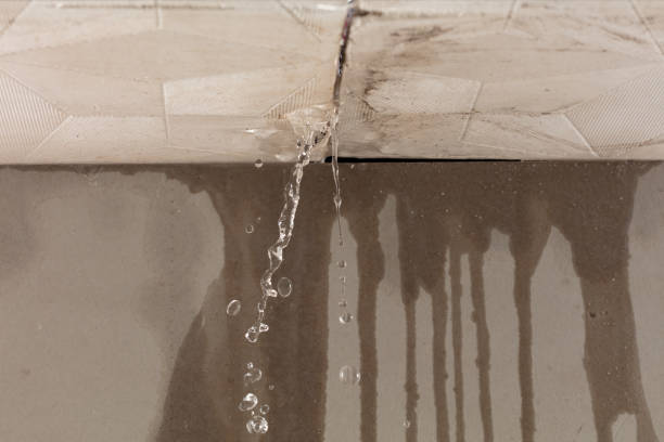 Professional Water Damage Inspection technician working in Pilot Point, TX